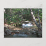 Waterfall at Pemigewasset River II Postcard