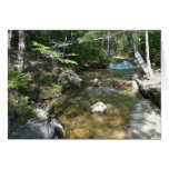 Waterfall at Pemigewasset River III Cards