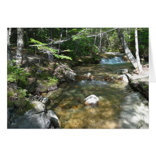 Waterfall at Pemigewasset River III Cards (Front Horizontal)