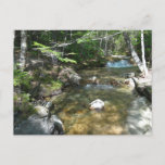 Waterfall at Pemigewasset River III Postcard