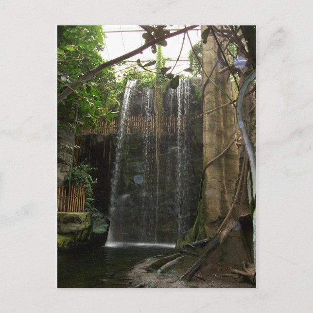 Waterfall at the Zoo Postcard (Front)