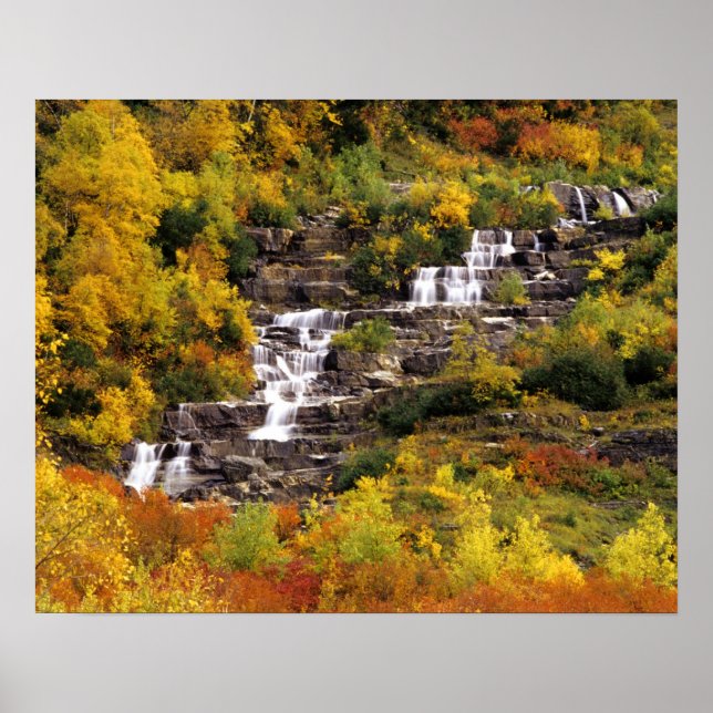 Waterfall below Mt Cannon in Glacier National Poster (Front)