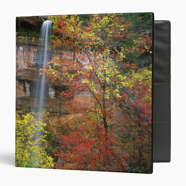 Waterfall, bigtooth maple Acer 3 Ring Binder (Front/Inside)