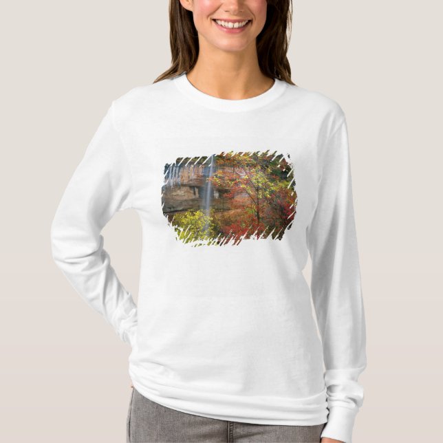 Waterfall, bigtooth maple Acer T-Shirt (Front)