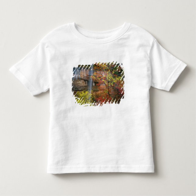 Waterfall, bigtooth maple Acer Toddler T-shirt (Front)