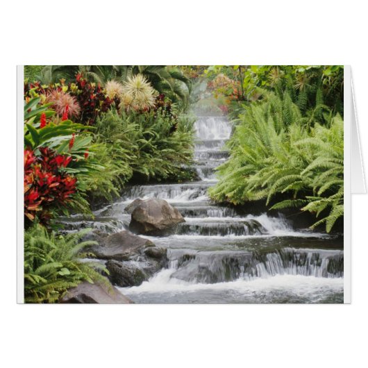 Waterfall Cards (Front Horizontal)
