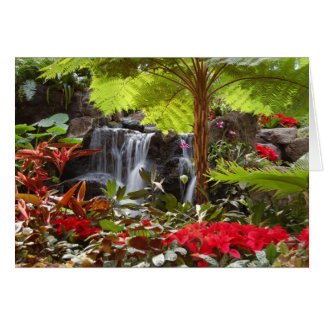 Waterfall Cards