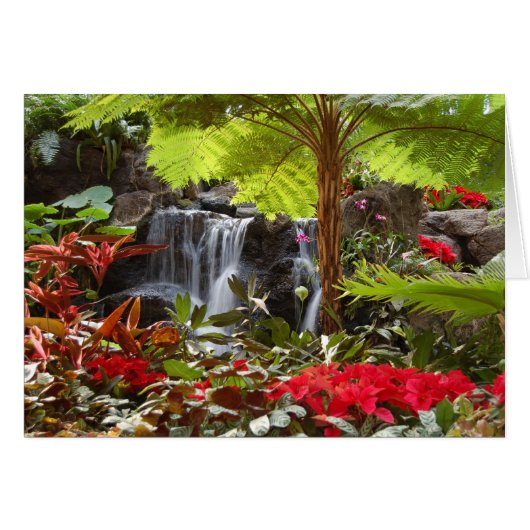 Waterfall Cards (Front Horizontal)