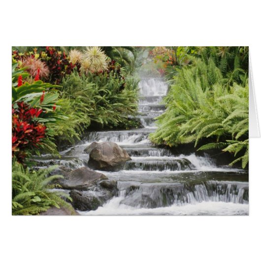 Waterfall Cards (Front Horizontal)