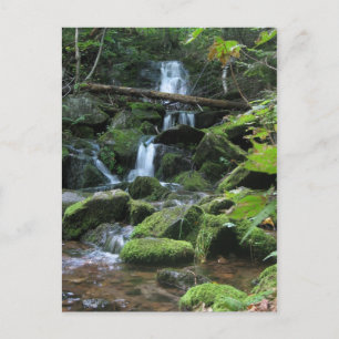 Waterfall cascade in lush forest landscape nature postcard