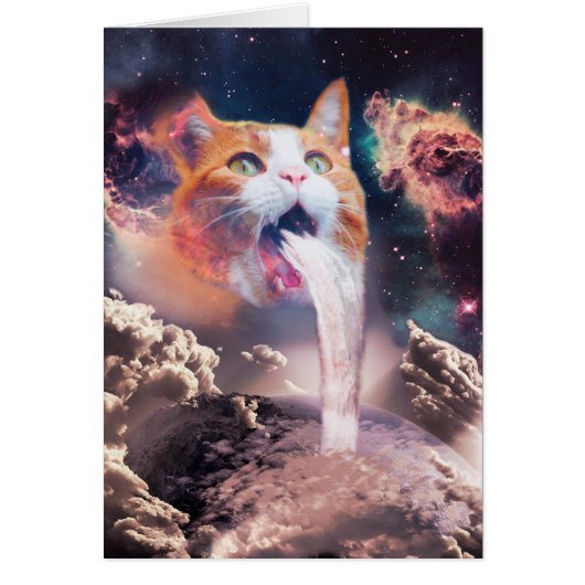 Waterfall cat (Front)