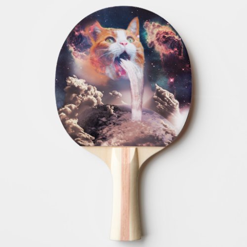 Waterfall cat ping pong paddle