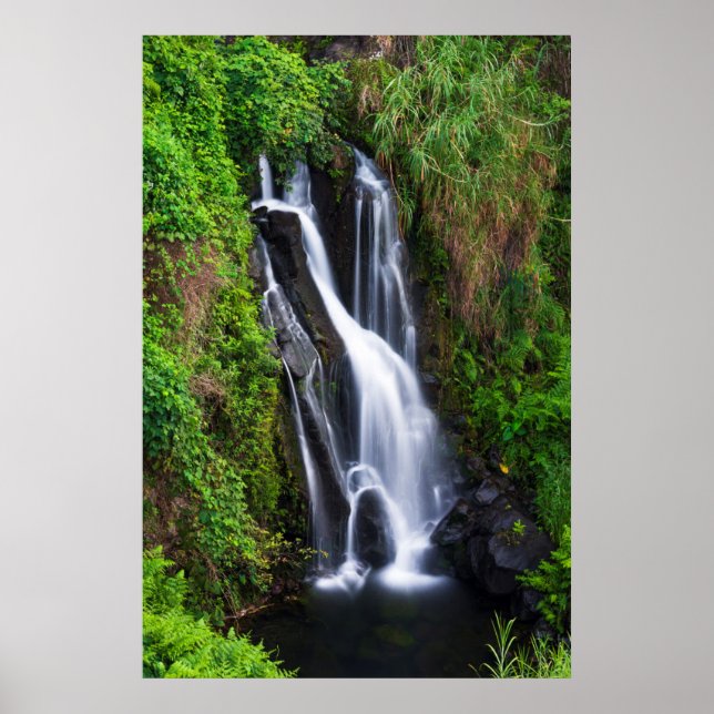 Waterfall, Hamakua coast, Hawaii Poster (Front)