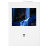 Waterfall Haven Cards (Back)