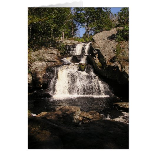 Waterfall I Cards (Front)