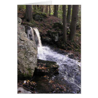 Waterfall II Cards