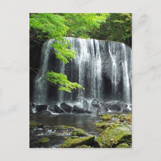 Waterfall in Aizu Postcard (Front)