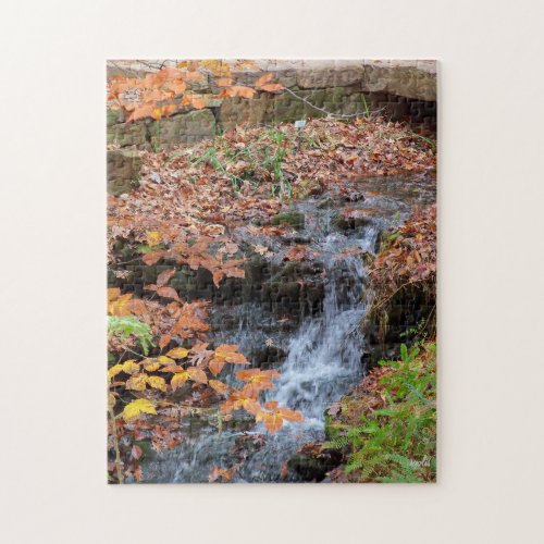 Waterfall in  Arkansas USA Jigsaw Puzzle