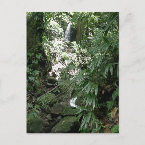 Waterfall In Dominica Postcard