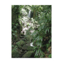 Waterfall In Dominica