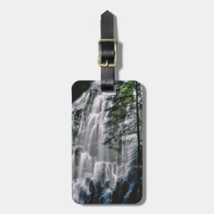 Waterfall in forest, Oregon Luggage Tag