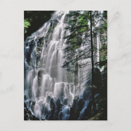Waterfall in forest Oregon Postcard