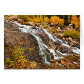 Waterfall In Grand Teton National Park (Front Horizontal)
