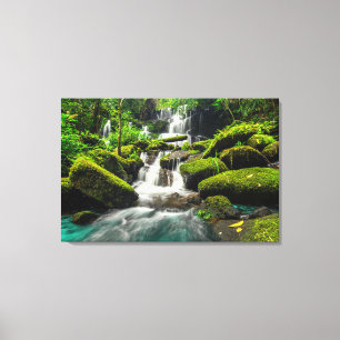 Waterfall in Jungle   Phu Tub Berk Mountain Canvas Print