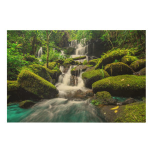 Waterfall in Jungle   Phu Tub Berk Mountain Wood Wall Art