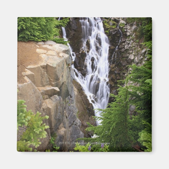 Waterfall in Mount Rainier National Park Magnet (Front)
