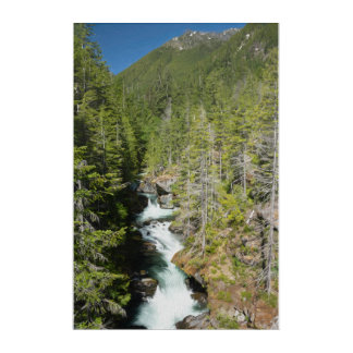 Waterfall in Olympic National Forest Acrylic Print
