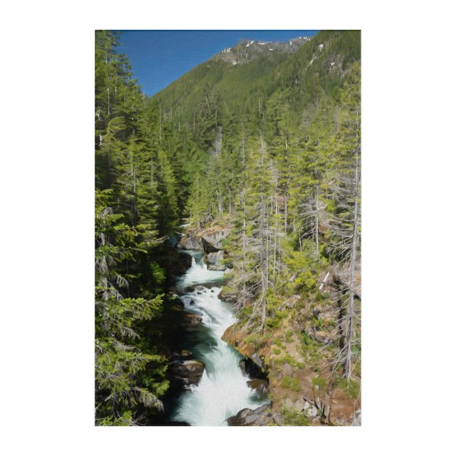 Waterfall in Olympic National Forest Acrylic Print (Front)