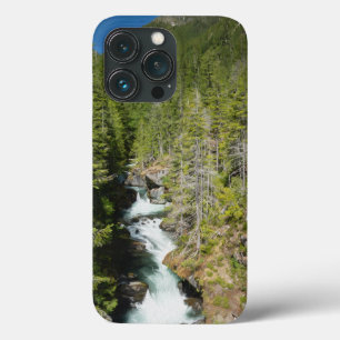 Waterfall in Olympic National Forest iPhone 13 Pro Case