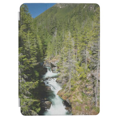 Waterfall in Olympic National Forest iPad Air Cover