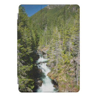 Waterfall in Olympic National Forest iPad Pro Cover