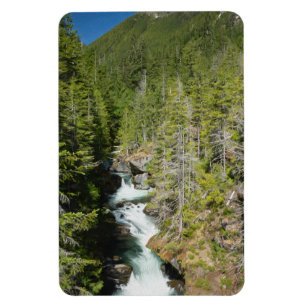 Waterfall in Olympic National Forest Magnet