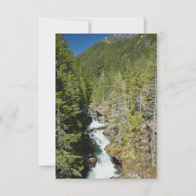 Waterfall in Olympic National Forest Thank You Card (Front)