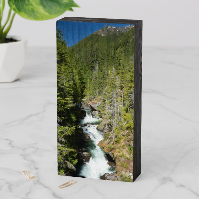 Waterfall in Olympic National Forest Wooden Box Sign (In Situ Vertical)