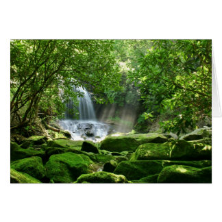 Waterfall in Rain Forest Cards