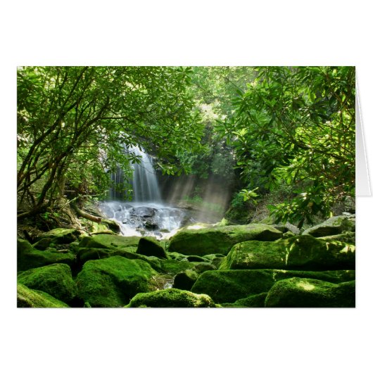 Waterfall in Rain Forest Cards (Front Horizontal)