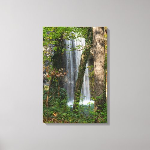 Waterfall In The Woods Canvas Print