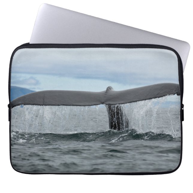 Waterfall Laptop Sleeve (Front)
