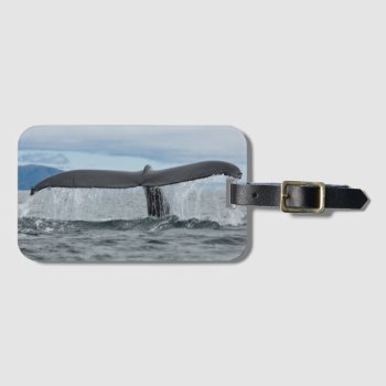 Waterfall Luggage Tag by AuraEditions at Zazzle