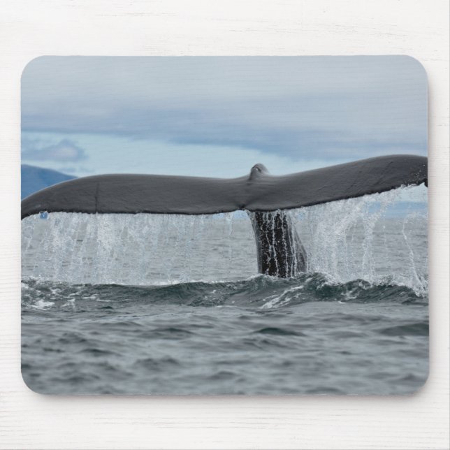 Waterfall Mouse Pad (Front)