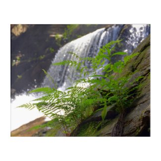 Waterfall North Carolina Mountain Photographic