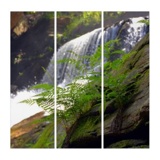 Waterfall North Carolina Mountain Photographic