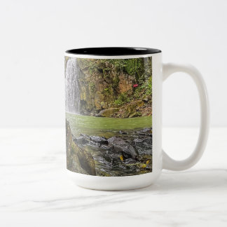 Waterfall Oasis Mug - Green Forest and Rocky Strea