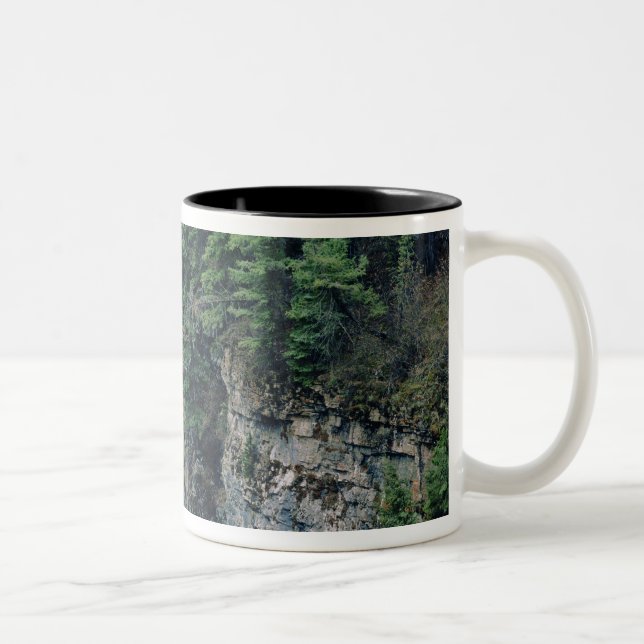 Waterfall on Falls Creek in Lewis and Clark Two-Tone Coffee Mug (Right)