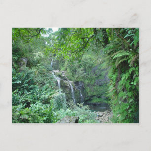 Waterfall on the Road to Hana Postcard