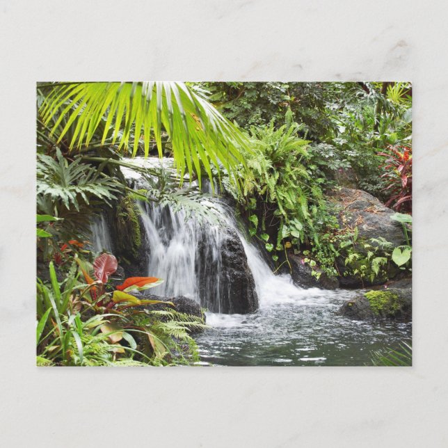 Waterfall Postcard (Front)